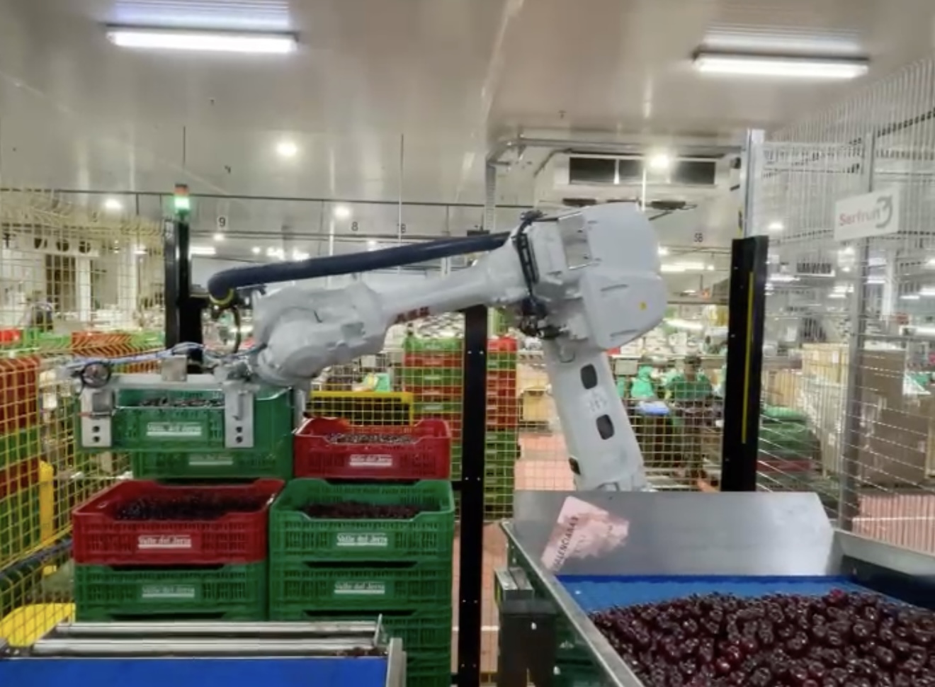 La Agrupación de Cooperativas del Valle del Jerte acelera su transformación digital con nuevas soluciones de automatización