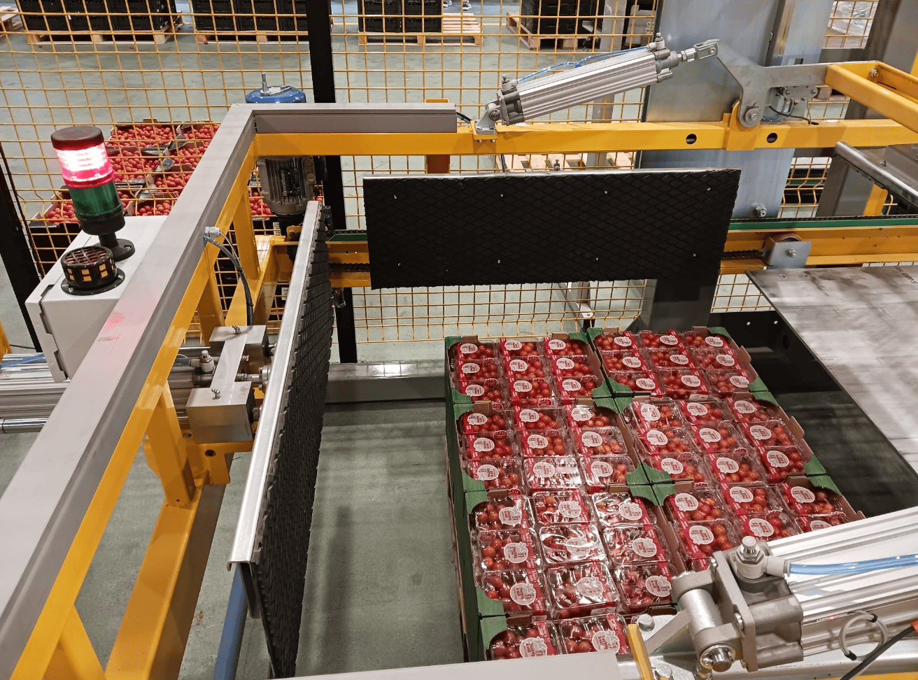 Looije impulsa su crecimiento con una nueva planta de envasado y refuerza su apuesta por la innovación