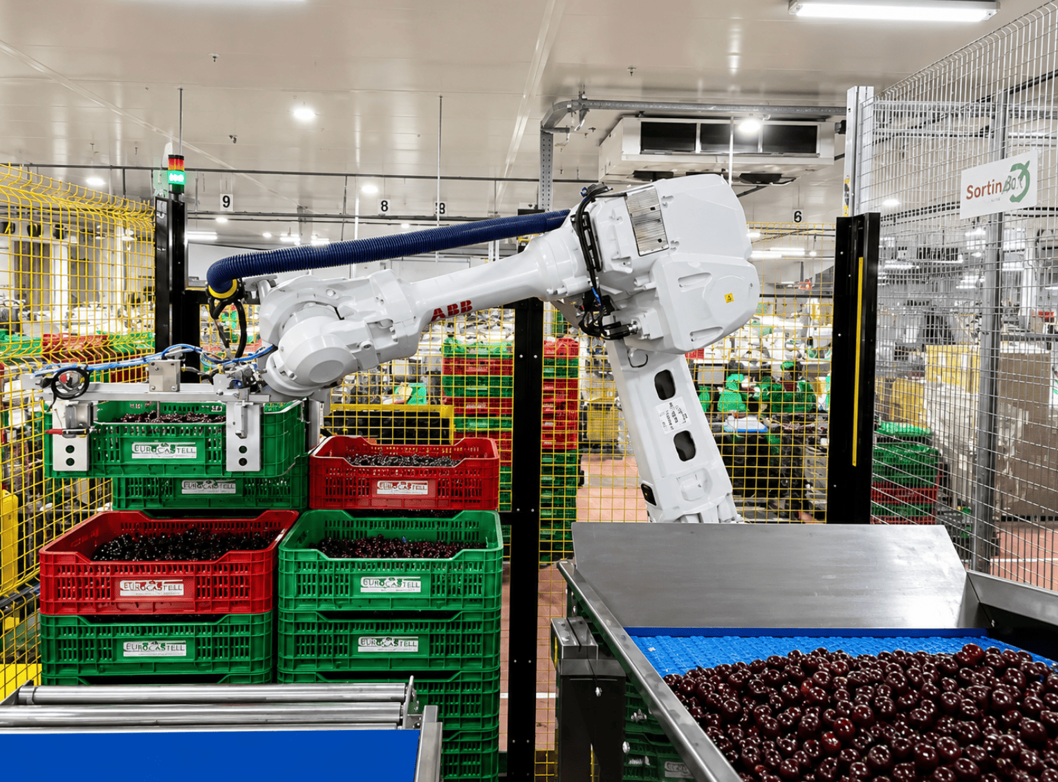 La Agrupación de Cooperativas del Valle del Jerte acelera su transformación digital con nuevas soluciones de automatización